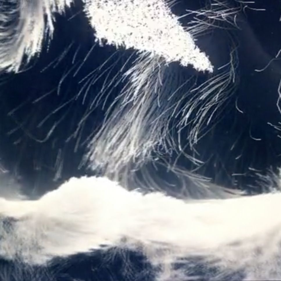 Florencia S.M. Bruck